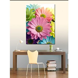Kanvas Tablo Renkli Papatyalar Ve Bahar Hissi 70x100 cm