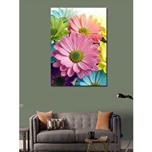 Kanvas Tablo Renkli Papatyalar Ve Bahar Hissi 70x100 cm