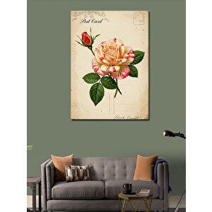 Kanvas Tablo Pembe Gül Ve Posta Kartı 100x140 cm