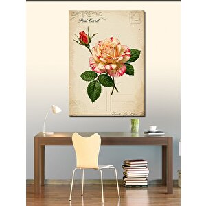 Kanvas Tablo Pembe Gül Ve Posta Kartı 70x100 cm