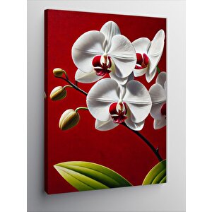 Kanvas Tablo Beyaz Orkide Çiçeği 50x70 cm