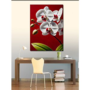 Kanvas Tablo Beyaz Orkide Çiçeği 50x70 cm
