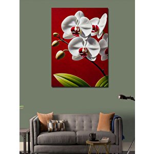 Kanvas Tablo Beyaz Orkide Çiçeği 50x70 cm
