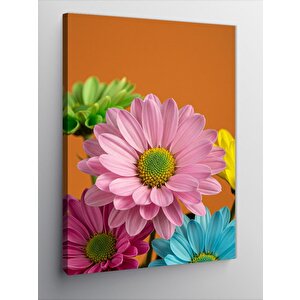 Kanvas Tablo Renkli Papatya Bahçesi 50x70 cm