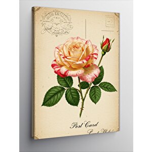 Kanvas Tablo Pastoral Gül Kartpostalı 70x100 cm