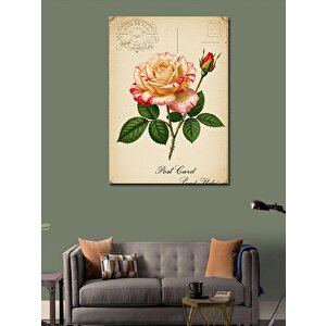 Kanvas Tablo Pastoral Gül Kartpostalı 70x100 cm