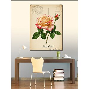 Kanvas Tablo Pastoral Gül Kartpostalı 100x140 cm