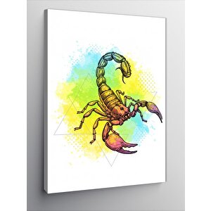 Kanvas Tablo Renkli Akrep Motifi 50x70 cm