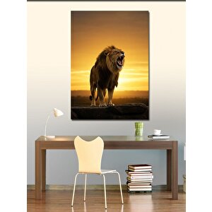 Kanvas Tablo Gün Batımında Aslan 50x70 cm
