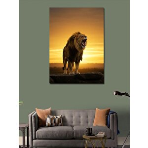 Kanvas Tablo Gün Batımında Aslan 50x70 cm