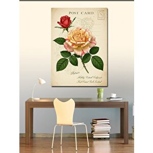 Kanvas Tablo Vintage Posta Kartı Ve Gül 70x100 cm