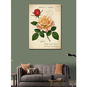 Kanvas Tablo Vintage Posta Kartı Ve Gül 100x140 cm