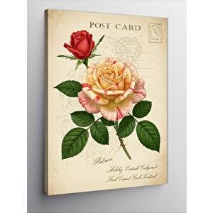 Kanvas Tablo Vintage Posta Kartı Ve Gül 50x70 cm