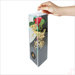 Pvc Kutulu Cipsolu Yapay Kırmızı Gül - 25cm X 7cm