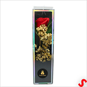 Pvc Kutulu Cipsolu Yapay Kırmızı Gül - 25cm X 7cm