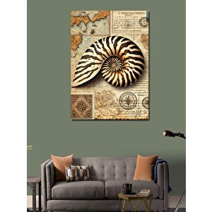 Kanvas Tablo Tarihsel Deniz Kabukları Haritası 70x100 cm