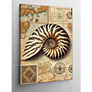Kanvas Tablo Tarihsel Deniz Kabukları Haritası 50x70 cm