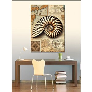 Kanvas Tablo Tarihsel Deniz Kabukları Haritası 50x70 cm