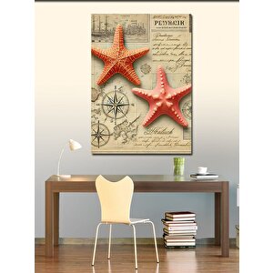 Kanvas Tablo Deniz Yıldızları Ve Harita 50x70 cm