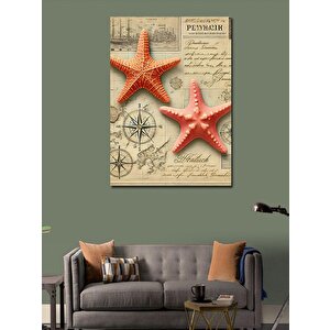 Kanvas Tablo Deniz Yıldızları Ve Harita 50x70 cm