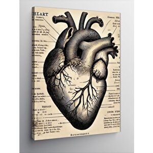 Kanvas Tablo Anatomik Kalp Çizimi 70x100 cm
