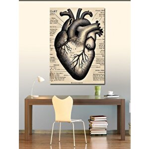 Kanvas Tablo Anatomik Kalp Çizimi 70x100 cm