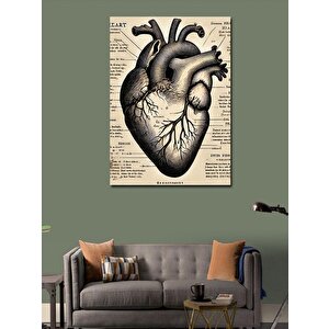 Kanvas Tablo Anatomik Kalp Çizimi 70x100 cm