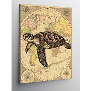 Kanvas Tablo Harita Ve Deniz Kaplumbağası 50x70 cm