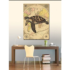 Kanvas Tablo Harita Ve Deniz Kaplumbağası 50x70 cm