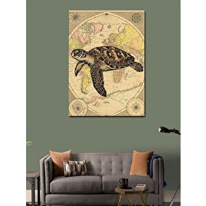 Kanvas Tablo Harita Ve Deniz Kaplumbağası 50x70 cm