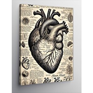 Kanvas Tablo Anatomik Kalp Ve Eski Çizimler 50x70 cm