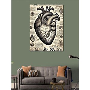 Kanvas Tablo Anatomik Kalp Ve Eski Çizimler 50x70 cm