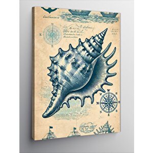 Kanvas Tablo Deniz Kabuklu Harita Tasarımı 70x100 cm