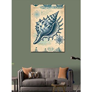 Kanvas Tablo Deniz Kabuklu Harita Tasarımı 70x100 cm