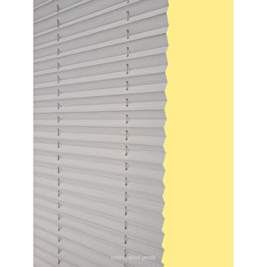 Bambu Seri̇si̇ Açık Gri Plise Perde Cam Balkon Perdesi Pimapen Perdesi Ofis Perdesi(vidalı Sistem) 40x180 cm