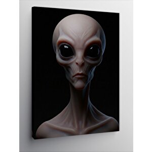 Kanvas Tablo Uzaylı Portresi Ve Gizemli Yüz 100x140 cm