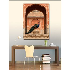 Kanvas Tablo Sarayın Girişinde Tavuskuşu 100x140 cm