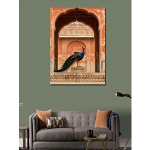 Kanvas Tablo Sarayın Girişinde Tavuskuşu 100x140 cm