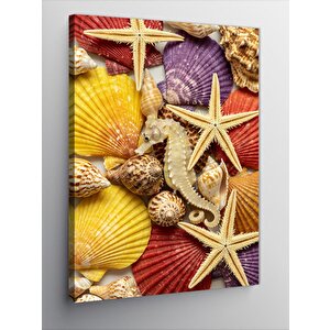 Kanvas Tablo Deniz Kabukları Ve Yıldızlar 100x140 cm