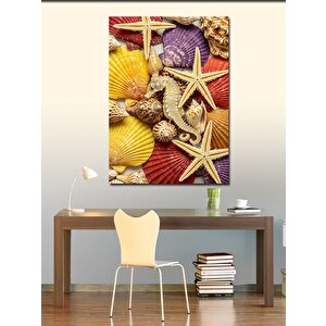 Kanvas Tablo Deniz Kabukları Ve Yıldızlar 100x140 cm