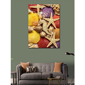 Kanvas Tablo Deniz Kabukları Ve Yıldızlar 100x140 cm