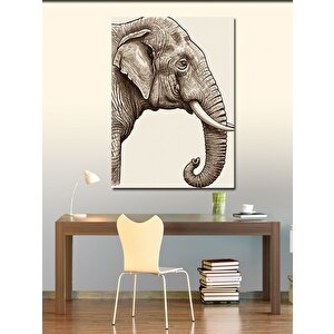 Kanvas Tablo Fil Ve Zarif Çizgiler 50x70 cm