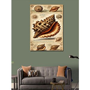 Kanvas Tablo Deniz Kabuğu Ve Antik Çizim 100x140 cm