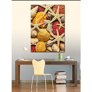 Kanvas Tablo Deniz Yıldızları Ve Kabuklar 50x70 cm