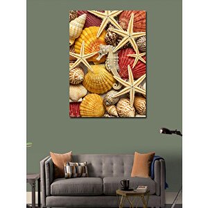 Kanvas Tablo Deniz Yıldızları Ve Kabuklar 70x100 cm