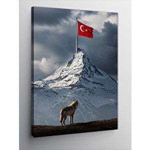 Kanvas Tablo Türk Bayrağı Ve Dağ 70x100 cm