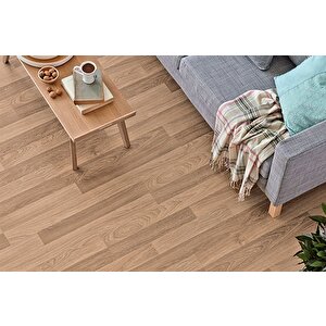 Klasik Laminat Parke 8 Mm Gümüş Meşe 535