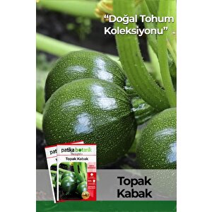 10 Kg Topak Kabak Tohumu