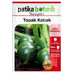 10 Kg Topak Kabak Tohumu
