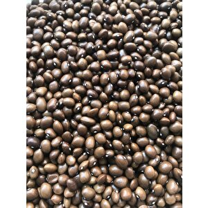 Yerli̇ Boncuk Ayşe Sirik Fasulye Tohumu 100 Gr